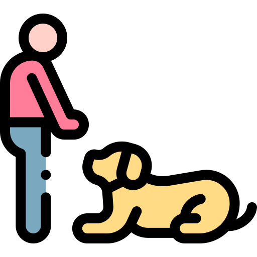 Expert Training